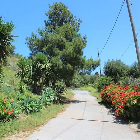 Villa 4 Palme