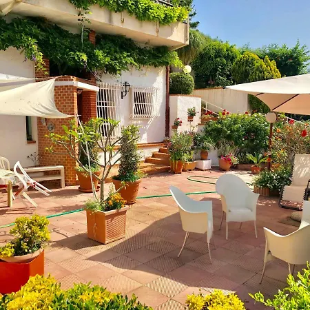 4 Palme Villa *