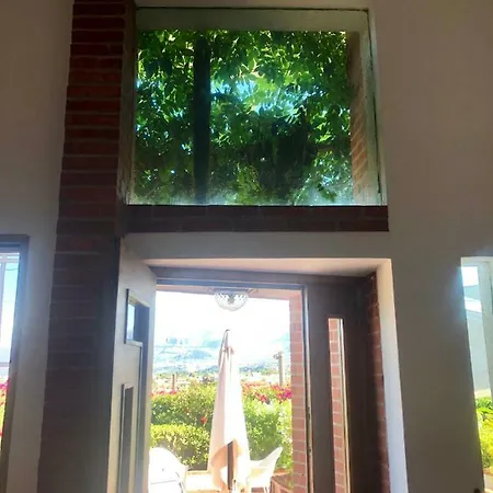4 Palme Villa Santa Flavia